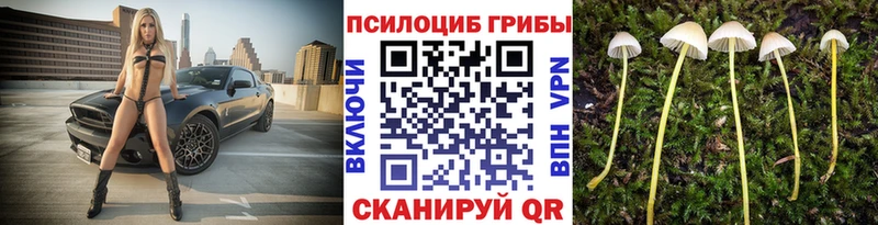 Псилоцибиновые грибы MAGIC MUSHROOMS  Конаково 